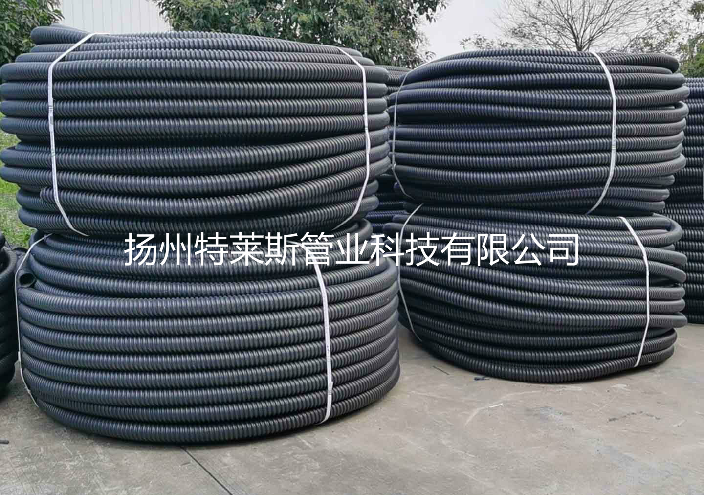 單壁螺旋管